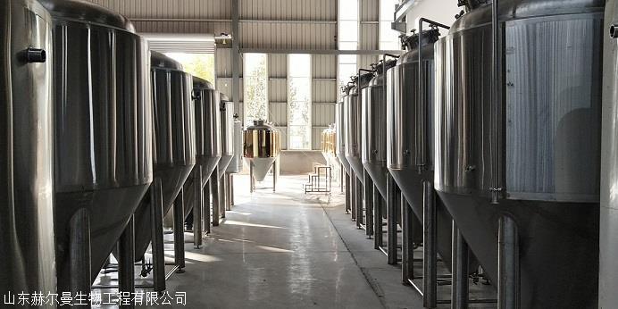 啤酒设备啤酒糖化发酵系统厂家销售