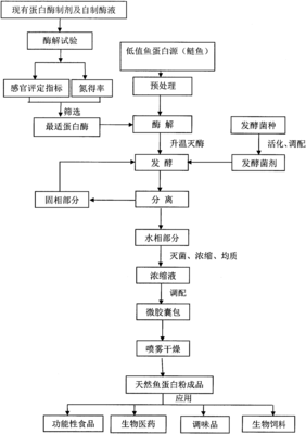 生物发酵制备天然鱼蛋白粉的生产工艺专利_专利查询 - 天眼查