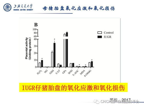 徐建雄 繁殖母畜的氧化应激与微生物发酵制品的缓解作用