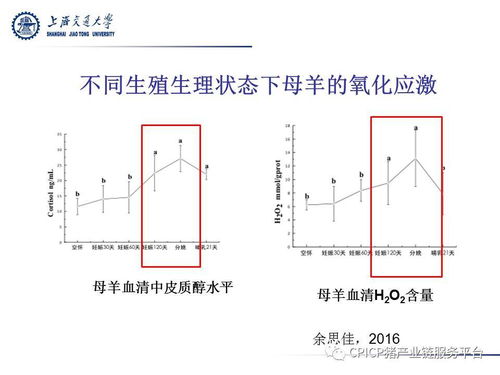 徐建雄 繁殖母畜的氧化应激与微生物发酵制品的缓解作用