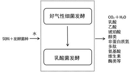 微生物发酵饲料在水产养殖上的作用